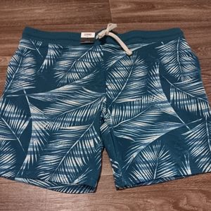Men's Shorts Size L (36-38)